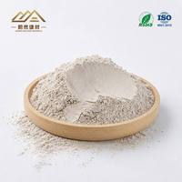Poudre de bentonite pour le traitement des eaux usées, poudre sans granulats 1250 Mesh, haute pureté de montmorillonite