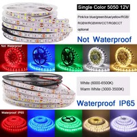 12V 5050 LED bande 60LEDs/m RVB étanche blanc froid/bleu/vert/rouge 5 m/rouleau 12V Solution d'éclairage domestique
