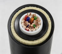 Cable de Fibra Óptica Zaweda AD001 para Exteriores, ADSS G652D, Monomodo, 2-48 Hilos, Autoportante, con Revestimiento LSZH/PE, FTTH, UPC, CA 220V, 1 Unidad