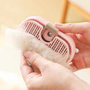 Nuovo Pettine Portatile di Lusso per Animali Domestici, Spazzola Spray Ricaricabile per Pulizia e Rimozione Peli, Prodotto Transfrontaliero dalla Cina - Product Image 5