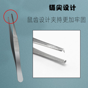 Pinzas para tejidos, de acero inoxidable, dentadas y con gancho, pinzas auxiliares, pinzas oftálmicas, clips para vendajes, pinzas de dientes de rata - Product Image 3