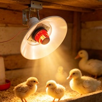 Chauffe-gaz infrarouge suspendu, chauffage radiant sans flamme au GPL/gaz naturel pour l'élevage de poussins, canards, oies et volailles