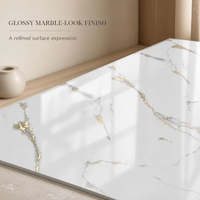Panneau PVC UV en marbre sans formaldéhyde pour la décoration murale intérieure des maisons familiales