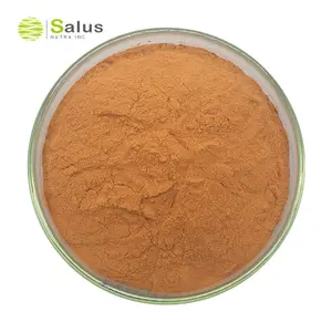 Dinh dưỡng bổ sung 65% Apple chiết xuất polyphenol