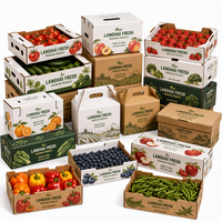 Boîte en carton ondulé robuste pour produits agricoles, fruits de la chaîne du froid, livraison express et usage industriel