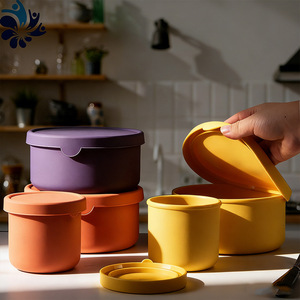 Silicone <b>Lunch</b> <b>Box</b> 700ml 250ml Flip Top Airtight <b>Microwave</b> Safe Food Storage Container For Office Students Back To School - Product Image 1