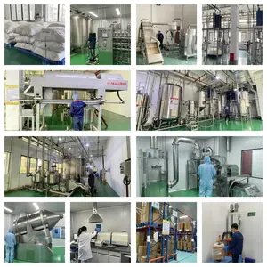 China Manufacturer Stevia Sugar Powder Bulk Price Stevia Extract Glycoside TSG 95% RA 40%