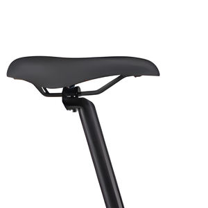 Triciclo Eléctrico de Carga para Adultos, con Batería de Litio de 36V, Dos Ruedas, Neumáticos Gruesos para Arena y Nieve, 250W, Bicicletas Rápidas - Product Image 4