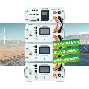 Paquete de Baterías de Iones de Litio de 51.2v 100ah 5kwh 10kwh 15kwh, Batería Solar Montada en Rack, Almacenamiento de Energía Doméstica, Batería de Litio - Product Image 1