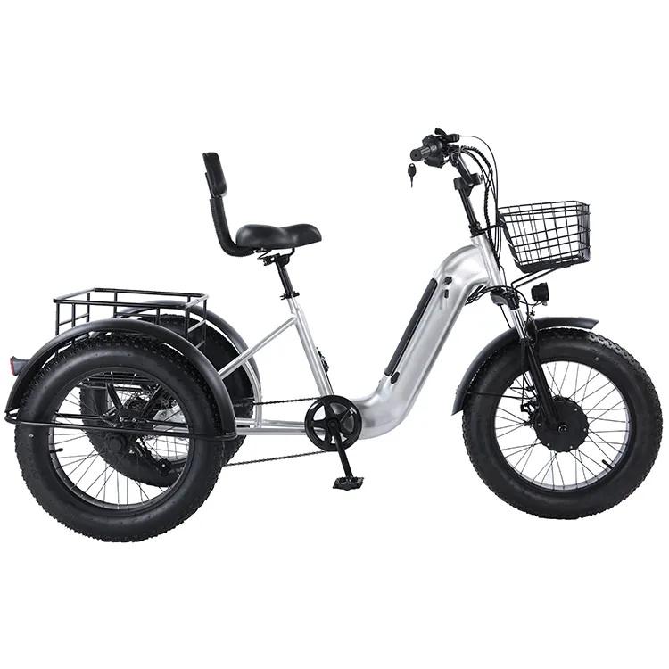 Teslimat malları için 20 inç elektrikli kargo bisikleti yağ lastik motosiklet elektrikli üç teker bisikletler e trike