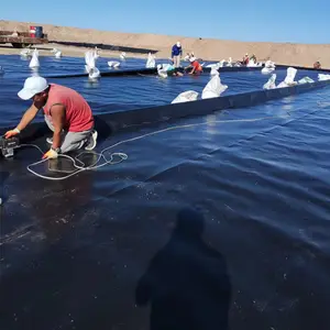 Rouleau de doublure d'étang en polyéthylène renforcé de barrage d'eau en plastique géomembrane HDPE