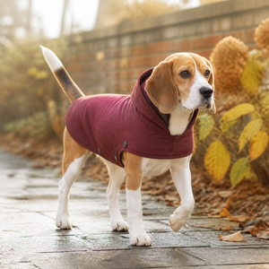 Manteau pour chien en polaire uni à capuche, chaud pour l'automne, pour chiens Beagle, style décontracté confortable - Product Image 1