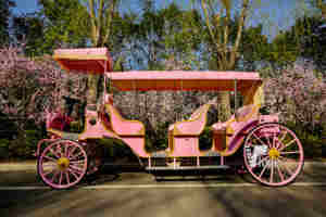 Carruaje Rosa Calabaza <span class=keywords><strong>Cenicienta</strong></span> Carruaje de película Carruaje de caballos blancos Fabricante - Product Image 3