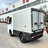 Camionnette électrique mini cargo fabriquée en Chine, camion à énergie nouvelle, transport logistique du dernier kilomètre, livraison express, certificat EEC