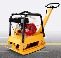 Compacteur à plaque vibrante portable Compacteur à plaque Wacker Compacteur à plaque essence/Diesel/électrique