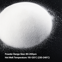Poudre DTF TPU blanche souple 500g 1kg, colle thermofusible pour transfert thermique sur T-shirt 80-200um 110-120 ℃