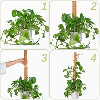 Offre Spéciale 12 pouces 16 pouces 19 pouces Jardin Plante Support Piquets Moss Pole