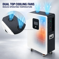 Batterie LiFePO4 murale Docan EU USA 16 kWh 51,2 V 300 Ah, pack de batteries de stockage d'énergie solaire 16S1P 314 Ah avec WiFi