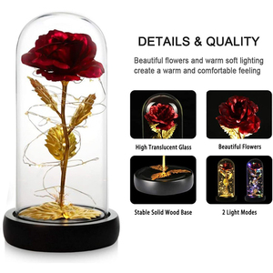 Venta al por mayor de arcoíris artificiales, rosas iluminadas en vidrio, flor de plástico colorida con LED Galaxy Rose en cúpula de vidrio para el día de la madre - Product Image 3