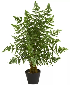 Cây dương xỉ nhân tạo trong chậu nhựa đen-tán lá xanh với những chiếc lá dài, nĩa trên nền trắng đặc - Product Image 5