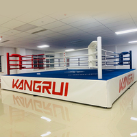 Anneau de Boxe Muay Thaï Professionnel Personnalisé de 6 Mètres pour Entraînement en Salle de Sport, Extérieur, UFC, MMA, Lutte, Type Compétition