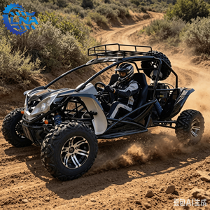 LNA en stock, UTV <span class=keywords><strong>Quad</strong></span> 500cc 4x4 longue portée pour les excursions dans le désert - Product Image 1