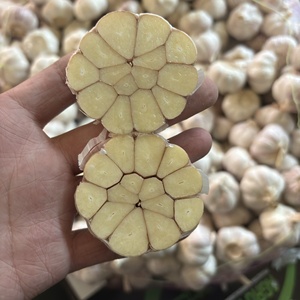 <span class=keywords><strong>Ail</strong></span> frais, petit emballage, 2/3/4/10 pièces par sac en filet/500g/1kg par sac en filet, qualité <span class=keywords><strong>A</strong></span>, sac en filet ventilé pour la vente au détail en supermarché - Product Image 3