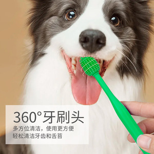 Cepillo de dientes para mascotas, para gatos y perros, limpieza bucal de 360 grados, cerdas de TPR, color azul y verde, herramienta de aseo para mascotas - Product Image 3