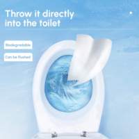 Lingettes humides biodégradables, pratiques et jetables, non tissées, pour le nettoyage domestique et corporel des adultes