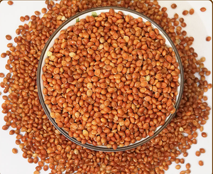 Le <span class=keywords><strong>millet</strong></span> chinois Red Broomcorn est indigène qui peut être mangé par les <span class=keywords><strong>oiseaux</strong></span> pour un prix bon marché - Product Image 6