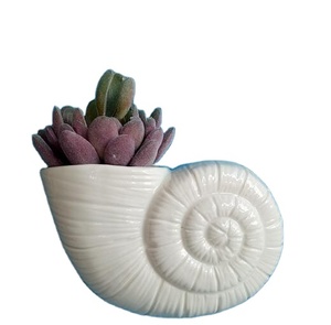 A <span class=keywords><strong>parete</strong></span> A Spirale Shell Vaso Decorativo Wall Hanging Piante Idroponiche Bottiglia Titolare vaso di Fiori per la Casa Giardino - Product Image 1