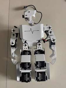 Robot Humanoide Raspberry Pi con Visión Artificial, Modelo Grande Tonypi, Cuerpo Bípedo Biónico, Programación Inteligente en Python - Product Image 6