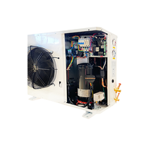 Unité de condensation à refroidissement par air à soufflage latéral Dashang 3HP 4HP pour armoires frigorifiques, petits supermarchés et chambres froides
