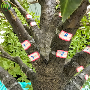 Arbres japonais <span class=keywords><strong>Pieris</strong></span> Japonica en fibre de verre à tronc détaché personnalisé hautement simulé pour l'aménagement paysager de jardin extérieur - Product Image 3