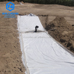0.5Mm 1Mm 1.5Mm 2Mm Geomembraan Voor Viskwekerij Vijver Liner Zwembad Viskwekerij Vijver Liner Tank Dam Voering Hdpe - Product Image 6