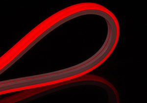 Dải Đèn Neon <span class=keywords><strong>Led</strong></span> Dải Đèn Neon 1010 1212 1616 Dải Đèn Neon 12V 24V Chống Nước - Product Image 5