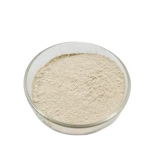 Alta calidad Garcinia Cambogia Extracto de semilla Cambogia Garcinia polvo Cambogia Garcinia extracto - Product Image 3