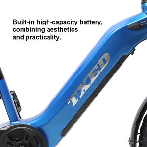 Bicicleta de 20 Pulgadas y 7 Velocidades Equipada con Motor Trasero de 750W y Batería de Alta Capacidad de 48V/20Ah para Entregas, Ebike FAST III 7-Spe - Product Image 2