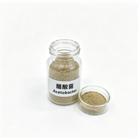 Poudre de bactéries acétiques de qualité alimentaire Acetobacter 10 milliards UFC/g pour la fabrication de vinaigre comestible et le processus de fermentation acétique