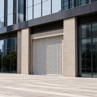 Porte à enroulement électrique en aluminium perforé avec lames de sécurité ventilées pour vitrine de magasin
