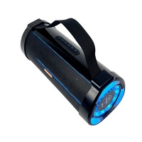 Haut-parleur de karaoké portable rechargeable double 4,5 pouces avec LED RVB 30W pour fêtes en extérieur