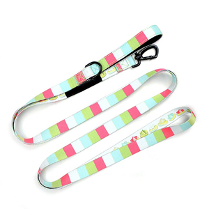 Laisse pour chien tressée robuste, laisse de sécurité anti-évasion pour animaux de compagnie avec boucle solide - Product Image 4