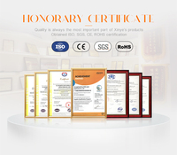 13.56mhz ABS UID réinscriptible rfid porte-clés tag jeton contrôle d'accès Mifare desfire ev2 porte-clés logo personnalisé