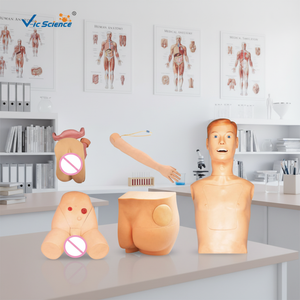 Modelo de Entrenamiento de Enfermería Avanzado, Nuevo Modelo Básico de Práctica de Enfermería, Modelo de Práctica de Sutura Vulvar - Product Image 3