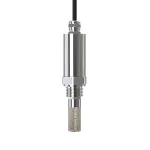 Medidor de punto de rocío industrial de alta precisión Sensor de punto de rocío a prueba de agua RS485 Modbus