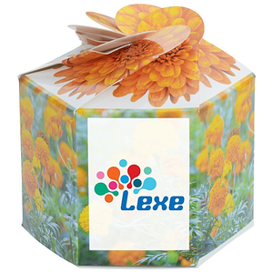 Kit de Jardinière Pop-up Personnalisable avec Logo, pour Marigolds, Pliable, Portable, Doré Vibrant, pour un Jardin Festif et Fleuri, Cadeau, Vente en Gros - Product Image 1