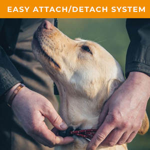 Tali anjing kepang Inggris 33 inci dengan tombol geser tekan Stopper untuk papan piring hak dan latihan kontrol - Product Image 5