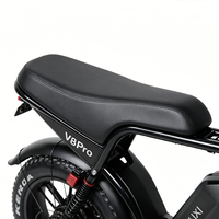 Vélo électrique familial de ville à 2 places avec pneus larges de 20 pouces, moteur arrière de 250 W, frein à disque, batterie au lithium