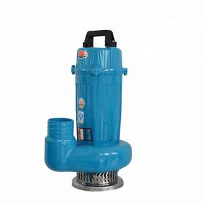 <span class=keywords><strong>Pompe</strong></span> à eau submergée domestique à haute pression de Offre Spéciale 0.25KW <span class=keywords><strong>pour</strong></span> l'irrigation agricole <span class=keywords><strong>pompe</strong></span> de puits personnalisable d'OEM de sortie de 1 pouce - Product Image 3