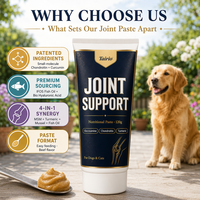 Pâte Nutritionnelle Premium pour Articulations Canines – Glucosamine, Chondroïtine, Curcuma, Collagène – Tout-en-un pour la Mobilité – OEM